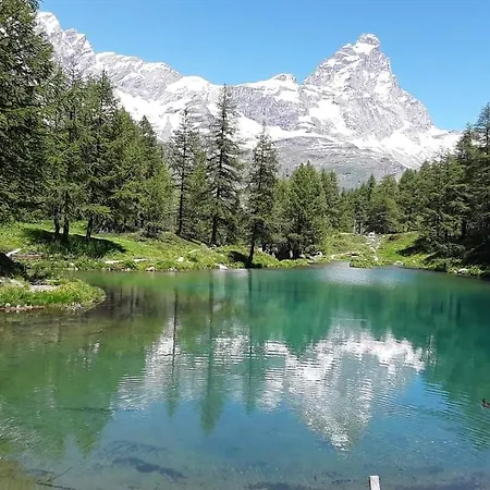 Alfastudio Apartament